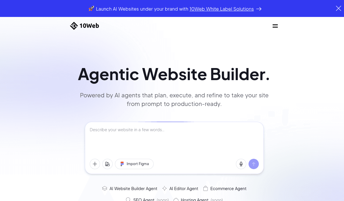 10Web AI
