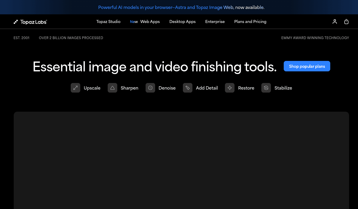 Topaz Labs